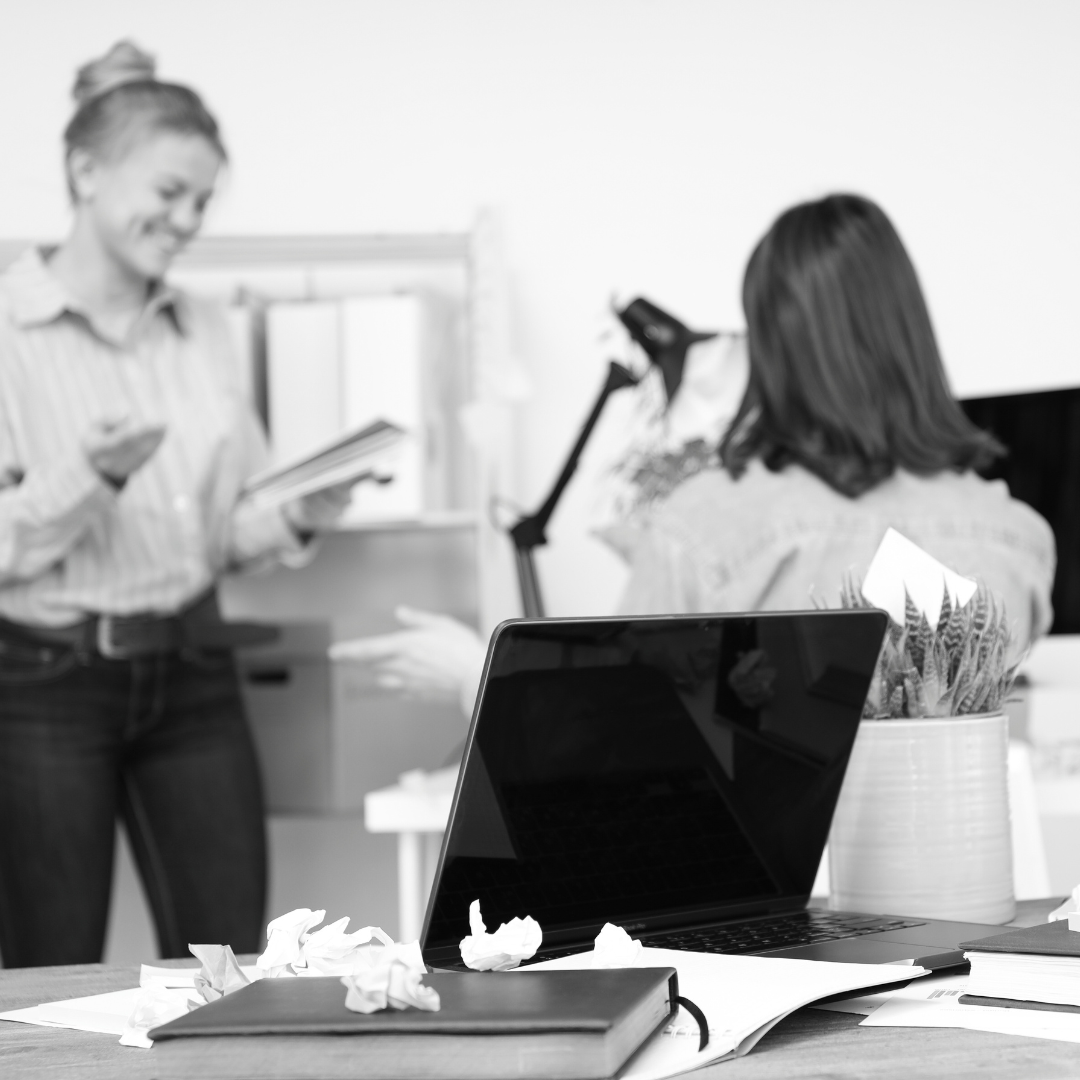 Creando comunidad y despegue de marca